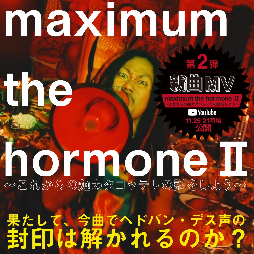マキシマム ザ ホルモン「maximum the hormoneII～これからの麺カタコッテリの話をしよう～」告知ビジュアル