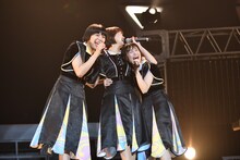 Negicco
