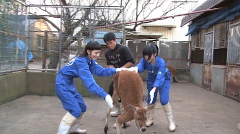 「BiSHのキレッキレJAPAN」場面カット。(c)FAT TRUNK