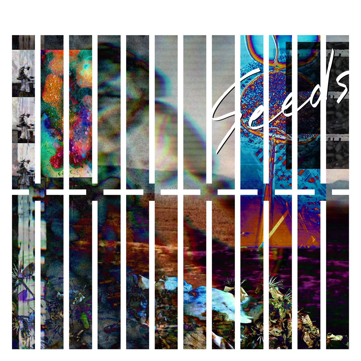 THE XXXXXX「Seeds」配信ジャケット