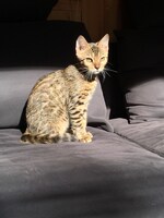 沙田が選んだむーのベストショット。