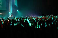 ミントグリーン色のサイリウムで埋め尽くされた新木場STUDIO COASTのフロア。