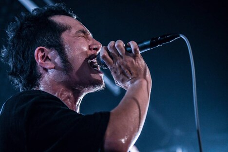 tommy（Vo / NUBO）（写真提供：NUBO）