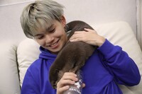 カワウソと遊ぶカイ。