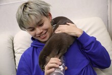 カワウソと遊ぶカイ。