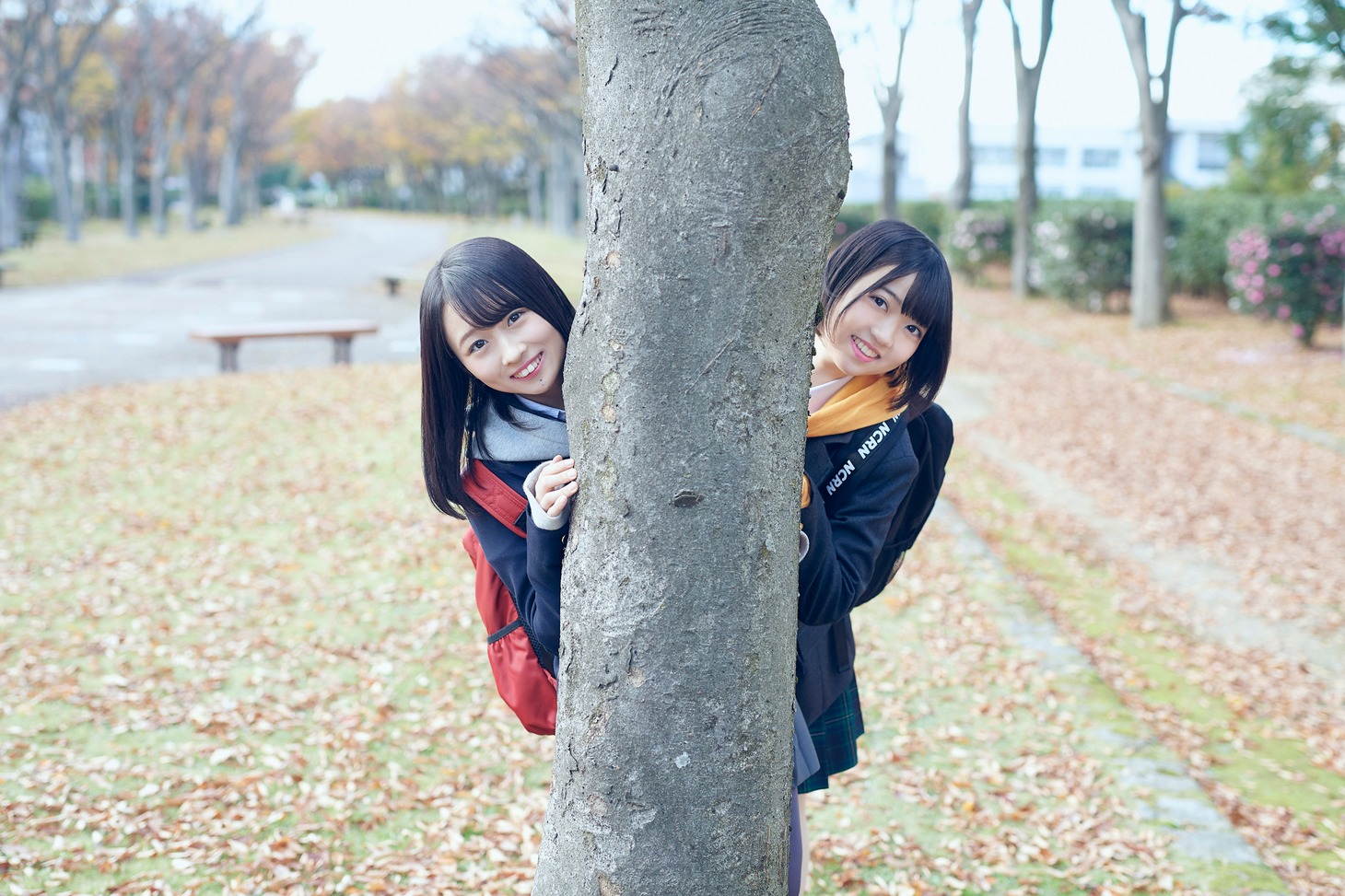 Fortune cherry (c)You, Be Cool! / KING RECORDS