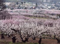 「4月の君、スピカ。」ロケ地