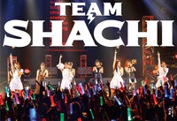 TEAM SHACHI「TEAM SHACHI」マジ感謝盤ジャケット