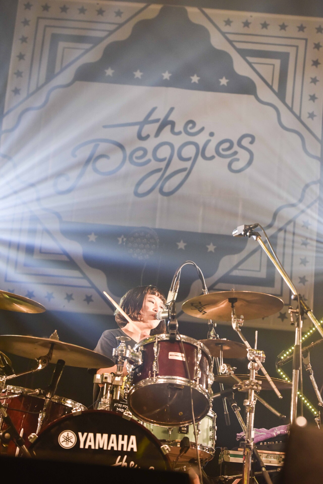 美品 the peggies パーカー L 北澤ゆうほ 石渡マキコ 大貫みく 大貫みく（Dr） - the peggies、メジャー第1弾アルバム「Hell like