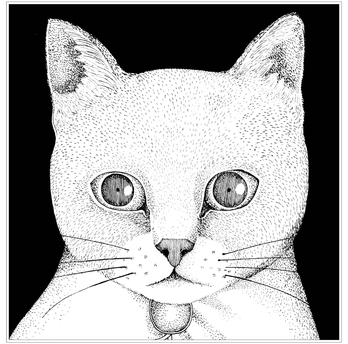 テンテンコ「ALL YOU NEED IS CAT～猫こそはすべて」ジャケット