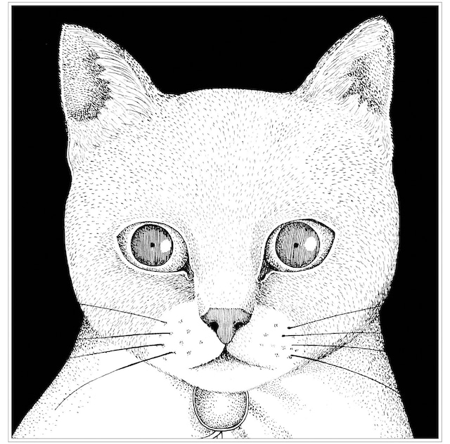 テンテンコ「ALL YOU NEED IS CAT～猫こそはすべて」ジャケット