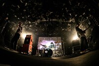 PELICAN FANCLUB（撮影：伊藤惇）