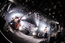 PELICAN FANCLUB（撮影：伊藤惇）