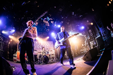 PELICAN FANCLUB（撮影：伊藤惇）