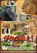 映画「劇場版 ダーウィンが来た！ アフリカ新伝説」ポスター