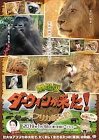 映画「劇場版 ダーウィンが来た！ アフリカ新伝説」ポスター