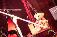 ナナちゃん（Photo by Masayo）