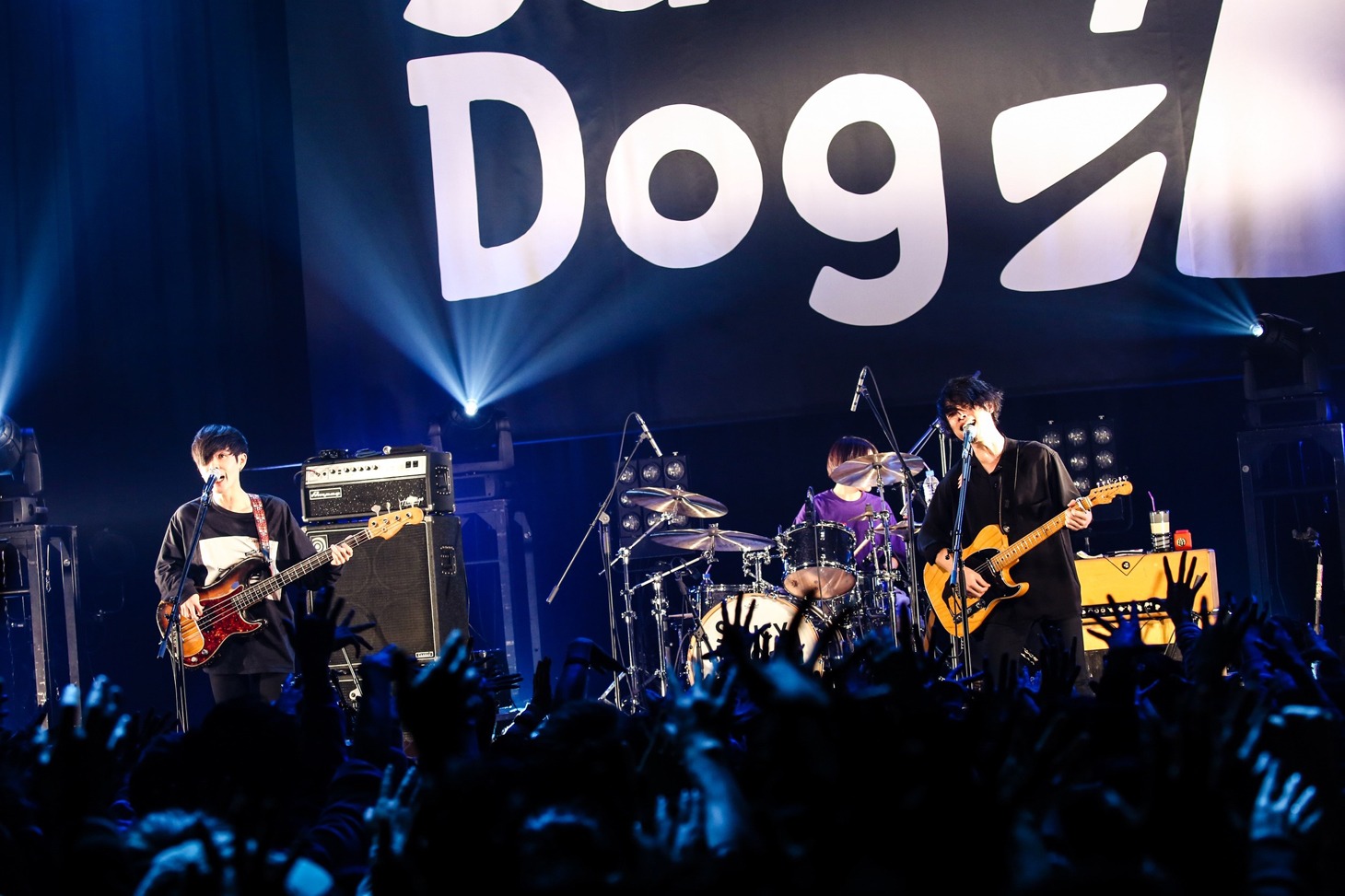 Saucy Dog（撮影：白石達也）