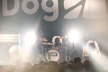 Saucy Dog（撮影：白石達也）