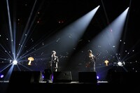 さくらしめじ（撮影：埼玉泰史、大庭元）