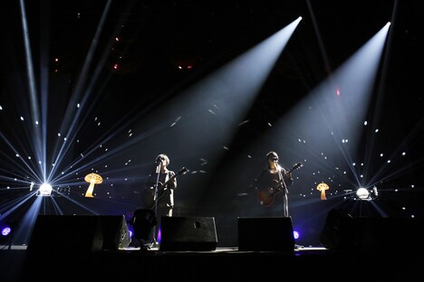 さくらしめじ（撮影：埼玉泰史、大庭元）