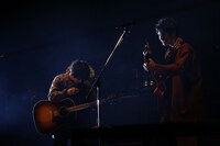 さくらしめじ（撮影：埼玉泰史、大庭元）