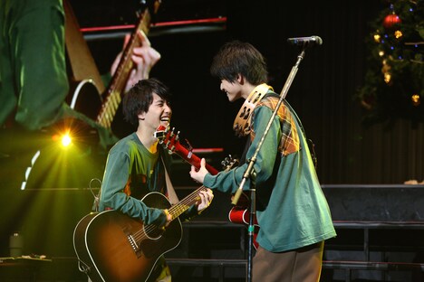 さくらしめじ（撮影：埼玉泰史、大庭元）