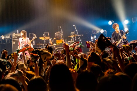 ヤバイTシャツ屋さん（撮影：上坂和也）