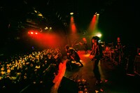 PLASTICZOOMS（Photo by Daisuke Miyashita）