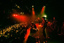 PLASTICZOOMS（Photo by Daisuke Miyashita）