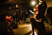 「犬たちのためのコンサート」の様子。（撮影：タイコウクニヨシ）