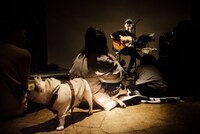 「犬たちのためのコンサート」の様子。（撮影：タイコウクニヨシ）