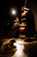 「犬たちのためのコンサート」の様子。（撮影：タイコウクニヨシ）