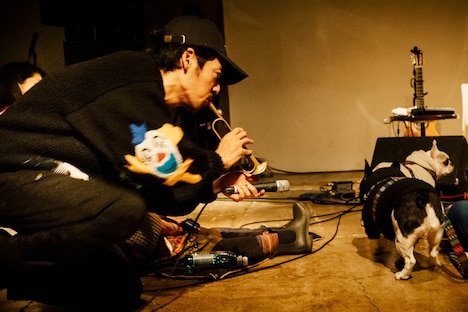 「犬たちのためのコンサート」の様子。（撮影：タイコウクニヨシ）