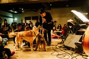 「犬たちのためのコンサート」の様子。（撮影：タイコウクニヨシ）