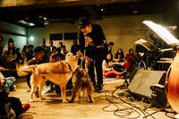 「犬たちのためのコンサート」の様子。（撮影：タイコウクニヨシ）