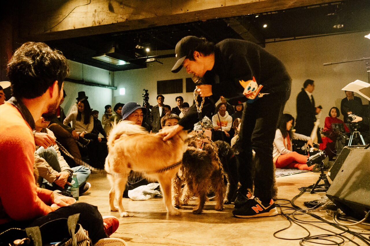 「犬たちのためのコンサート」の様子。（撮影：タイコウクニヨシ）