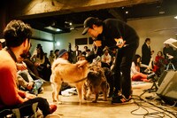 「犬たちのためのコンサート」の様子。（撮影：タイコウクニヨシ）