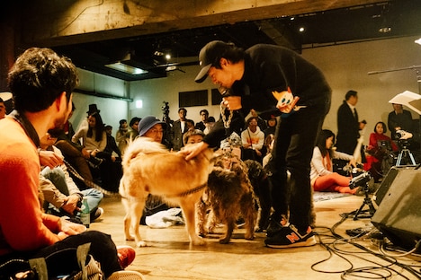 「犬たちのためのコンサート」の様子。（撮影：タイコウクニヨシ）
