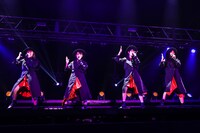 TEAM SHACHI「出張！冬の台場クリスマスライブ～全速前進 聖なる本編～」の様子。
