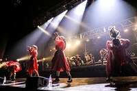 TEAM SHACHI「出張！冬の台場クリスマスライブ～全速前進 聖なる本編～」の様子。