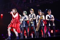 TEAM SHACHI「出張！冬の台場クリスマスライブ～全速前進 聖なる本編～」の様子。