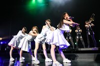 TEAM SHACHI「出張！冬の台場クリスマスライブ～全速前進 聖なる本編～」の様子。
