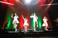 TEAM SHACHI「出張！冬の台場クリスマスライブ～全速前進 聖なる本編～」の様子。