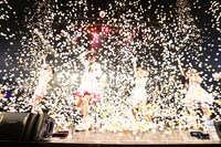 ピンポン玉を浴びるTEAM SHACHI。