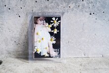 ハーブティブランド「Have a Herbal Harvest」のお茶。2000円。伊藤千晃の写真がアクリル板にプリントされている。