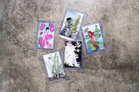 ハーブティブランド「Have a Herbal Harvest」のお茶。各2000円。伊藤千晃の写真がアクリル板にプリントされている。