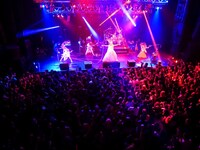 Aldiousのライブの様子。