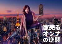 「家売るオンナの逆襲」キービジュアル(c)日本テレビ