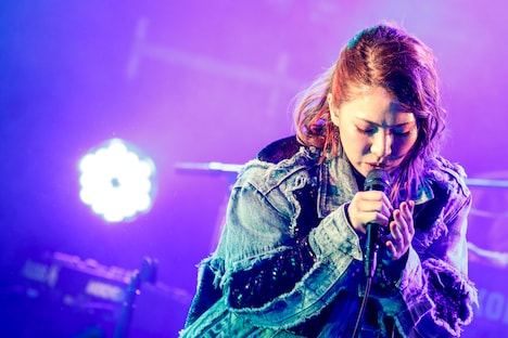 ZAQ（撮影：キセキミチコ）